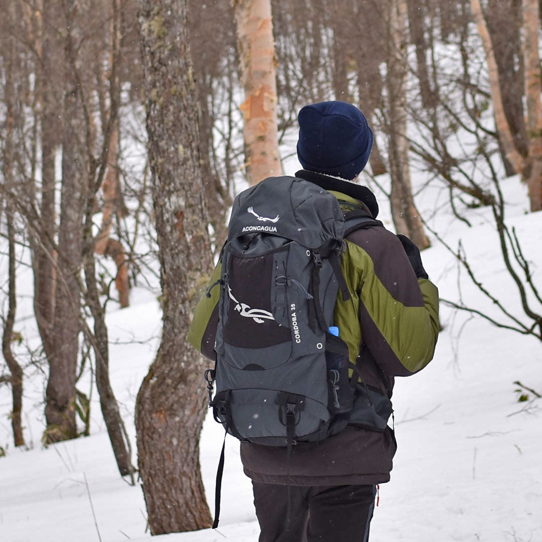 Cordoba コルドバ 35L リュックサック 男女兼用 スプリングネット背面 富士山 登山 アウトドア 登山リュック アコンカグア