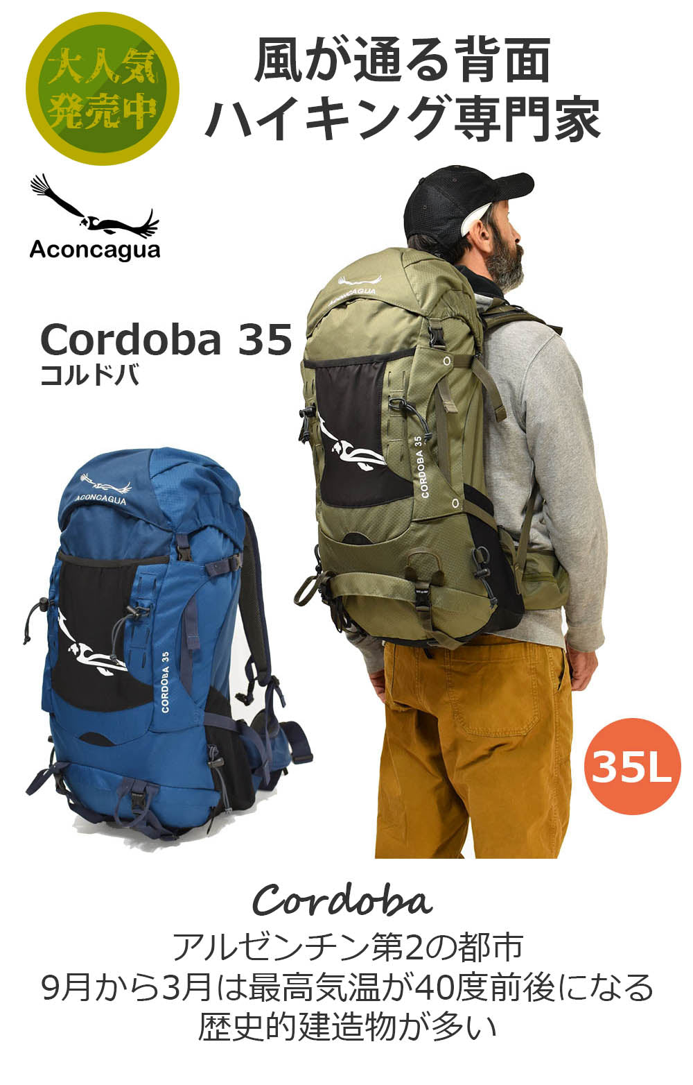 Aconcagua Cordoba コルドバ 35L リュックサック 男女兼用 スプリングネット背面 青・カーキ 登山・アウトドア 登山リュ – 登山 リュックのアコンカグア公式店