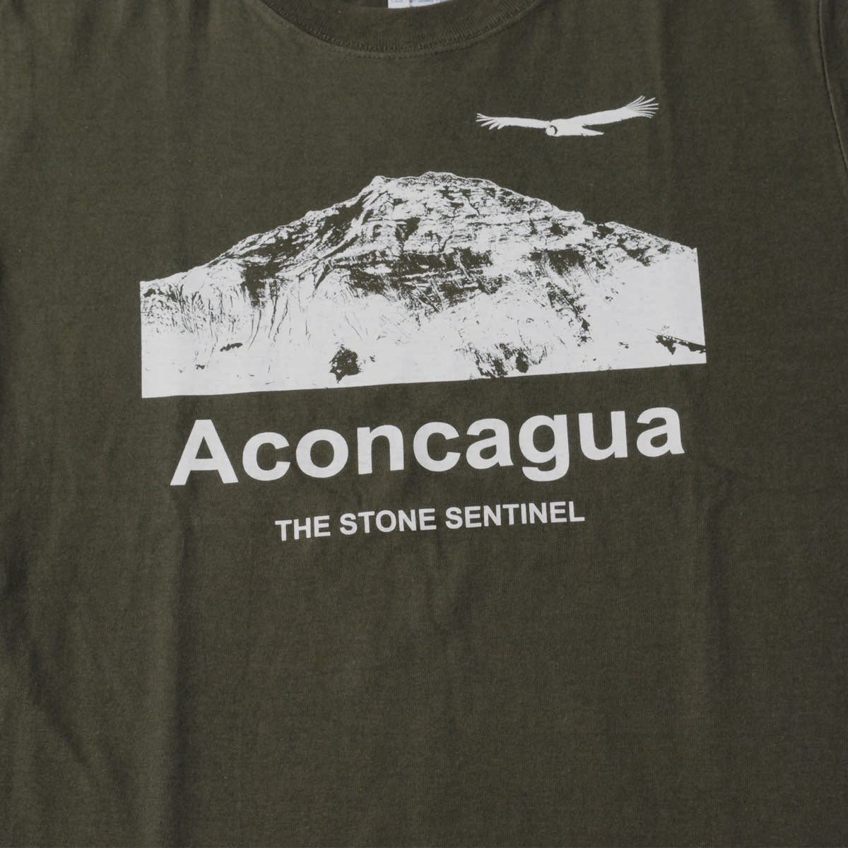 Short-sleeved T-shirt, 100% cotton, mountain print, slightly thick, 5.6oz, Aconcagua
