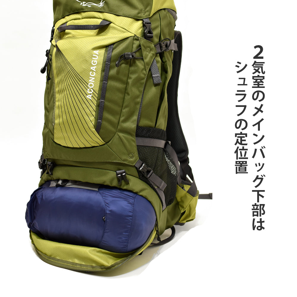 【 OUTLET 】 Fitzroy 65 サンプル品