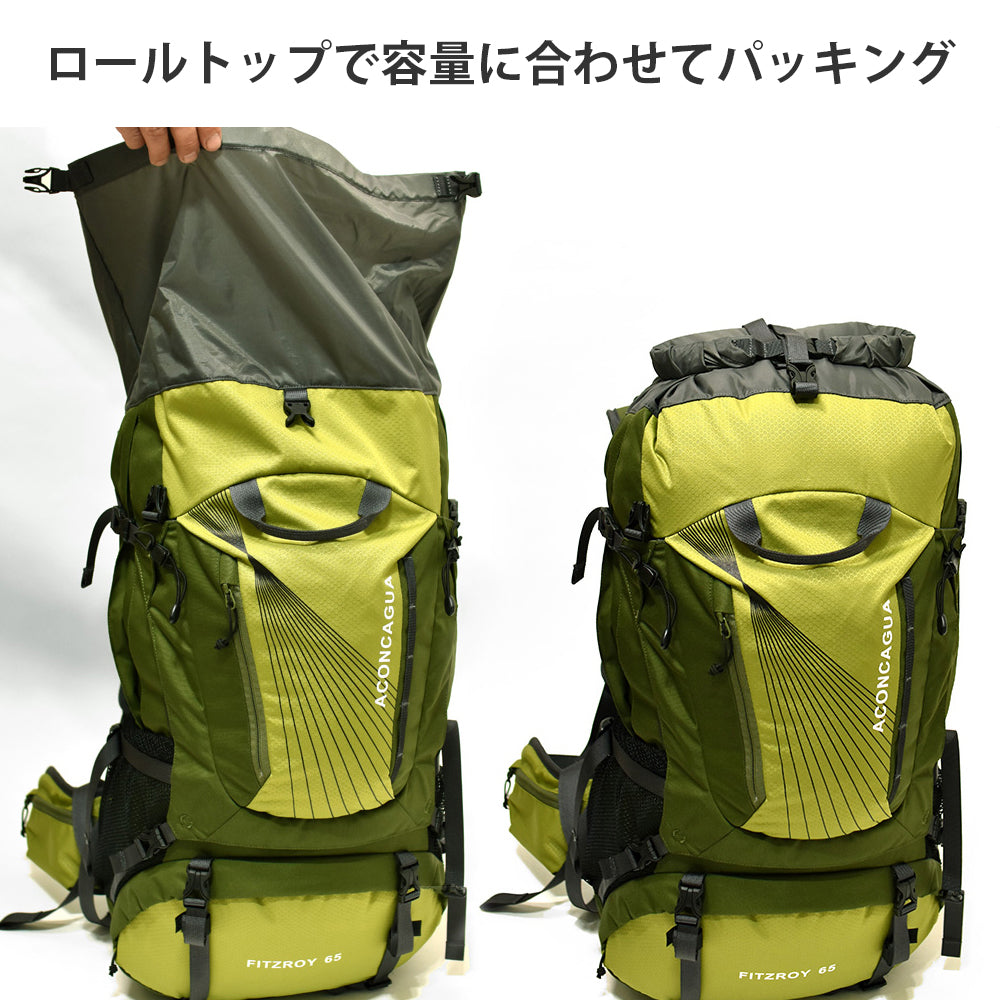 【 OUTLET 】 Fitzroy 65 サンプル品