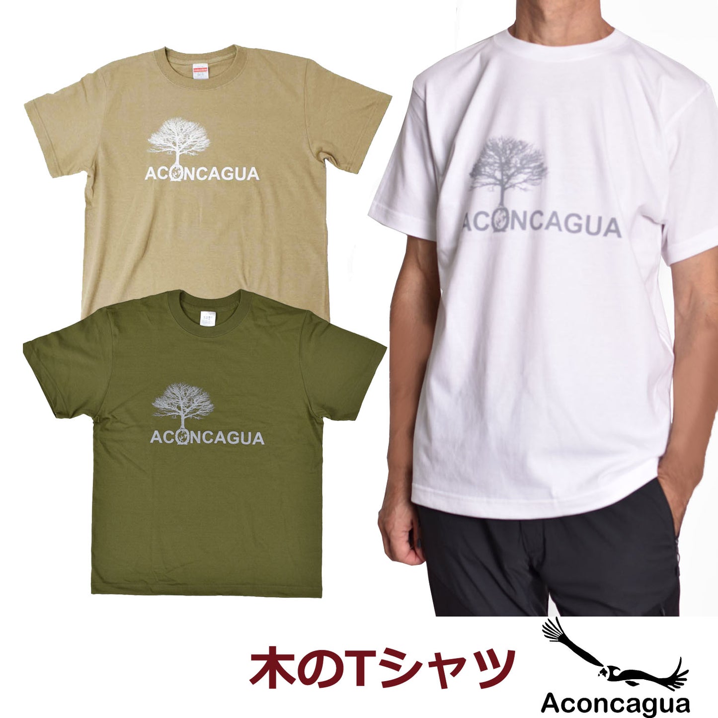 半袖Tシャツ コットン100% 木のプリント やや厚手 5.6oz アコンカグア