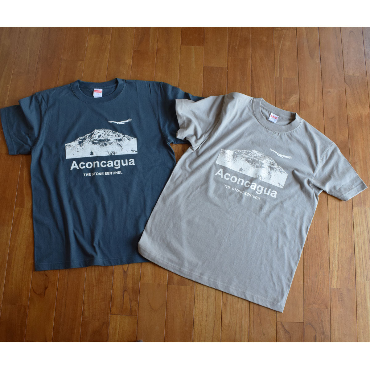 非常に高い品質 A&Gコットン100%Tシャツ - トップス